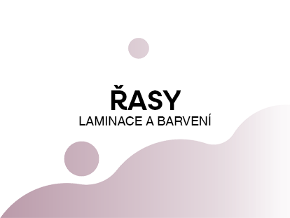 Kategorie Laminace a Barvení Řas