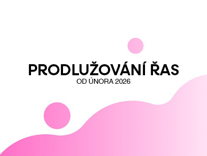 Kategorie Minimalistické Tetování